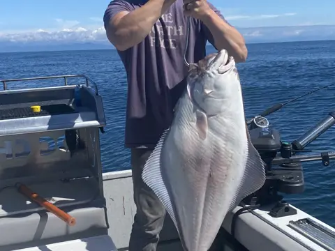 DC Charters fishing trip, photo 42