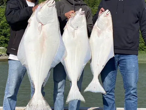 DC Charters fishing trip, photo 45