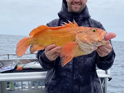 DC Charters fishing trip, photo 47