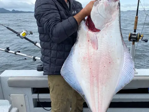 DC Charters fishing trip, photo 53